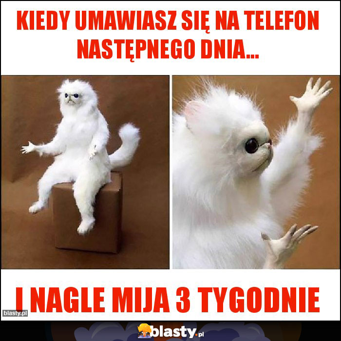 Kiedy umawiasz się na telefon następnego dnia...