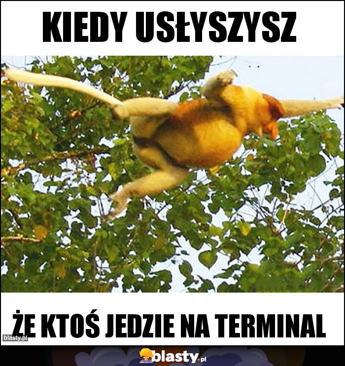 Kiedy usłyszysz