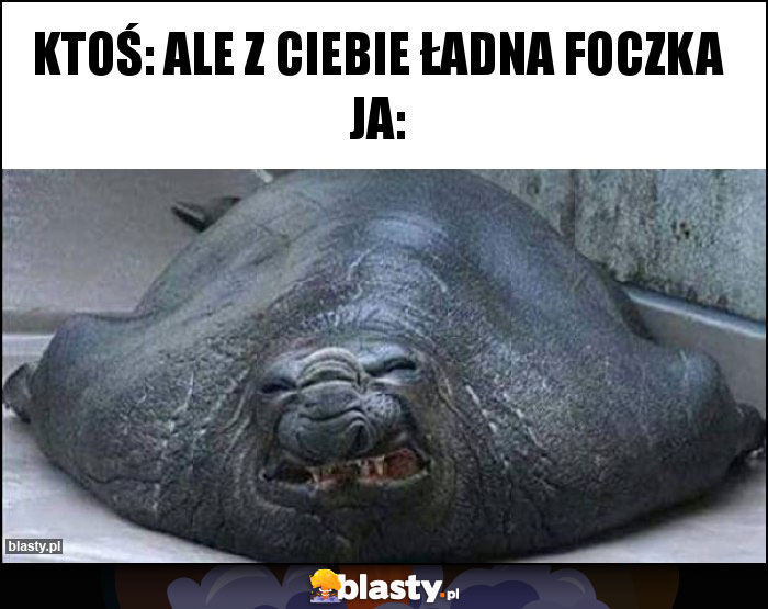 Ktoś: ale z ciebie ładna foczka Ja: