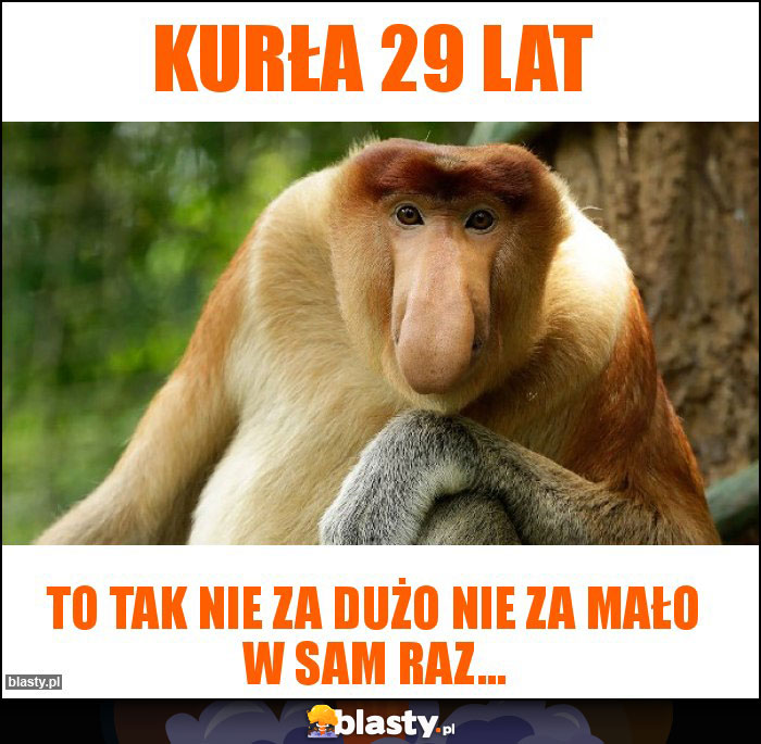 Kurła 29 lat