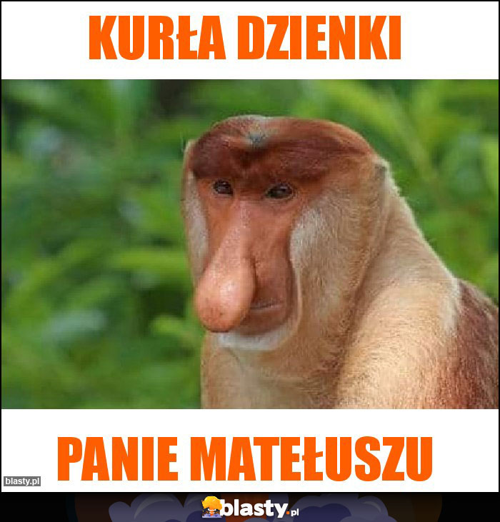 Kurła dzienki