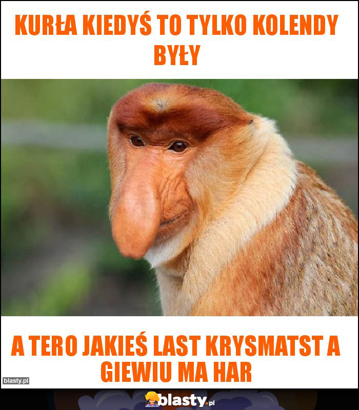 Kurła kiedyś to tylko kolendy były