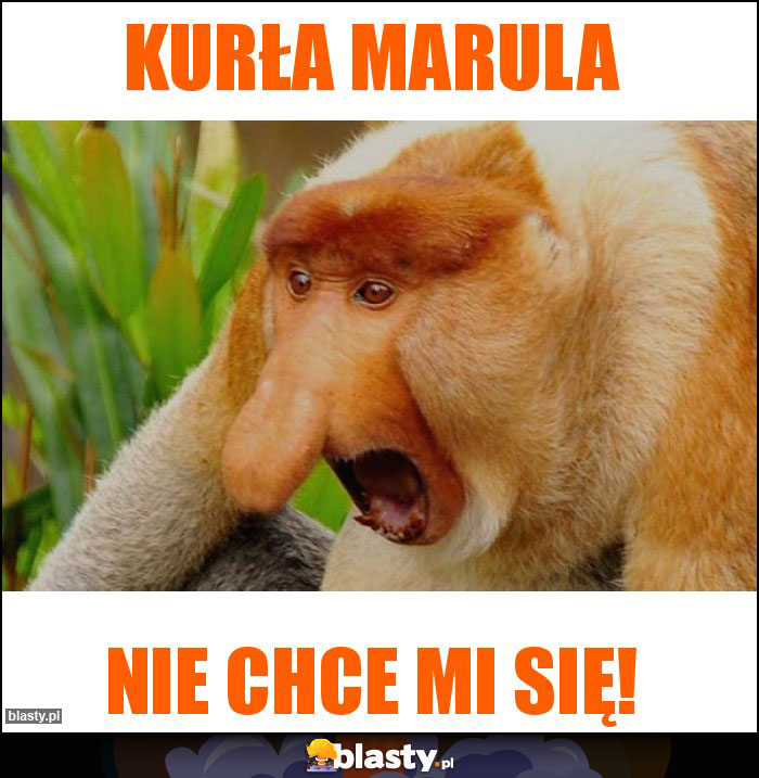 Kurła Marula