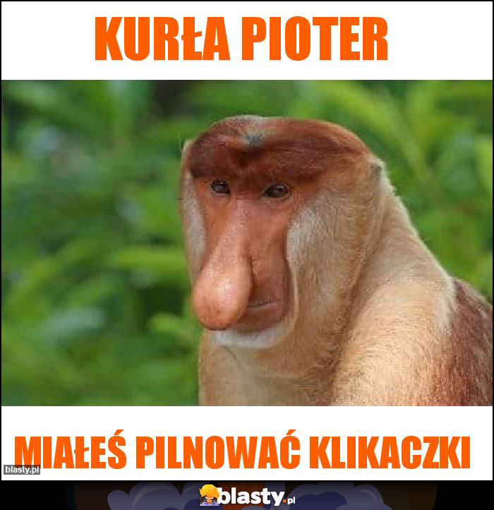 Kurła Pioter