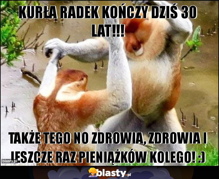 Kurła Radek kończy dziś 30 lat!!!