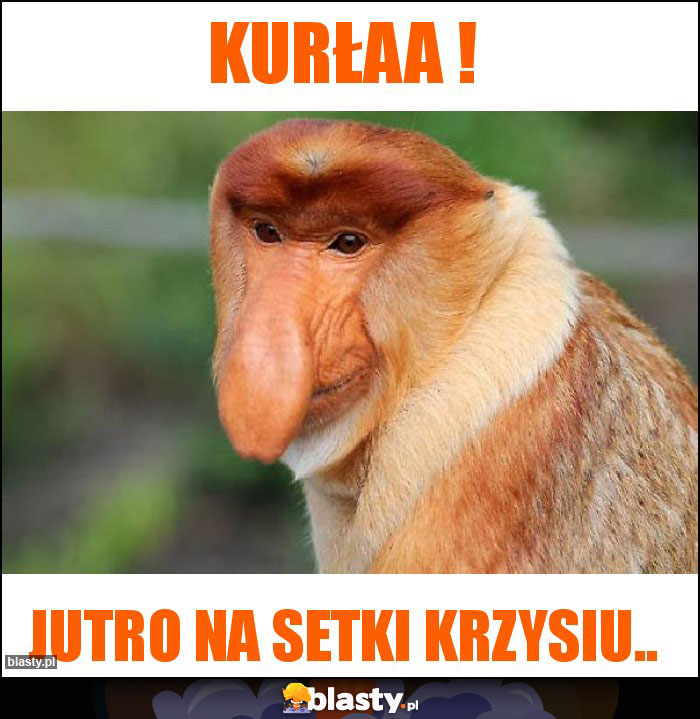 KURŁAA !