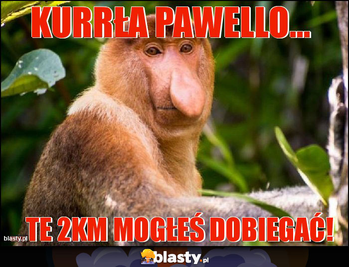 KURRŁA PAWELLO...