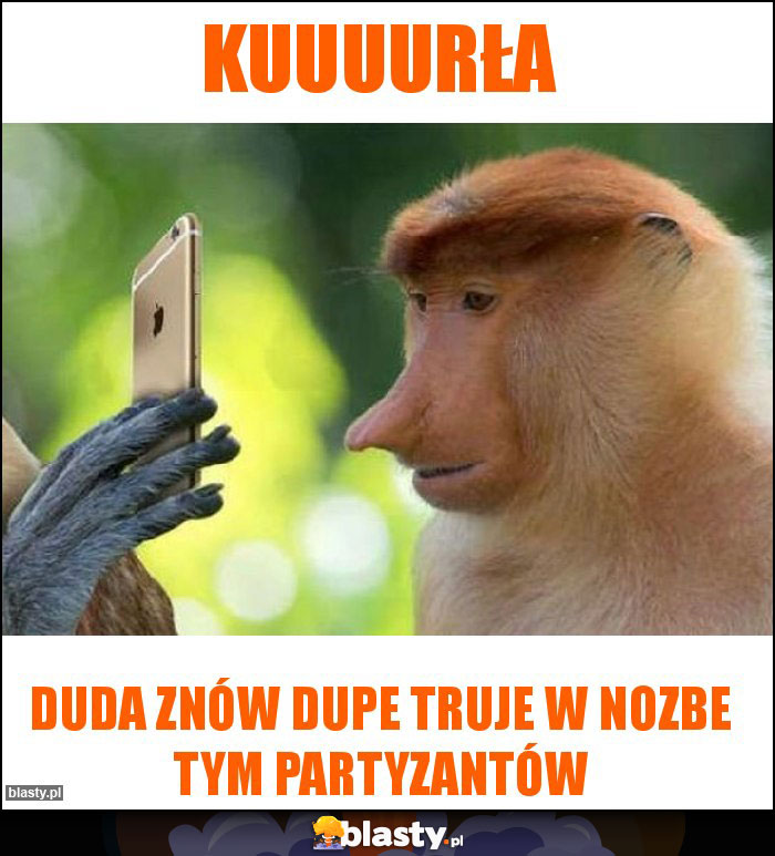 Kuuuurła