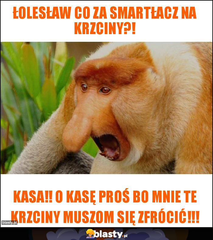 Łolesław co za smartłacz na krzciny?!