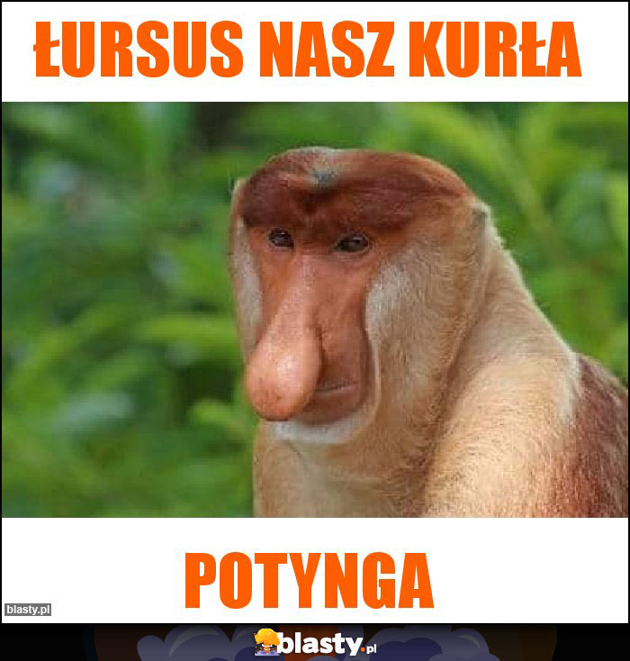 łursus nasz kurłA