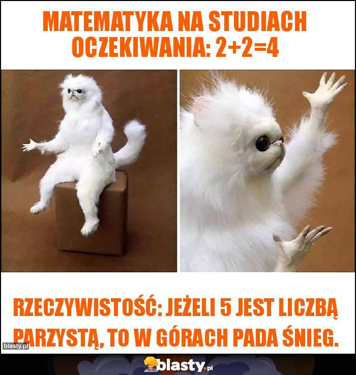 Matematyka na studiach oczekiwania: 2+2=4