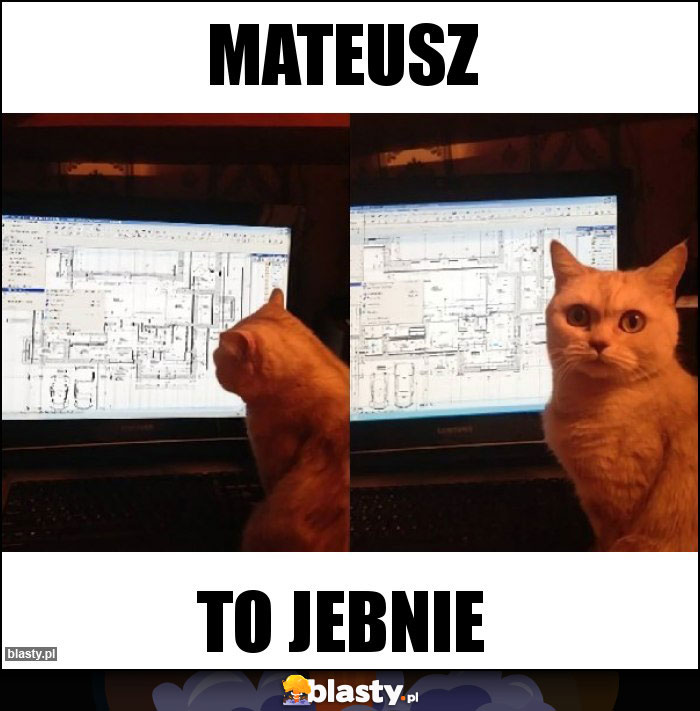 Mateusz