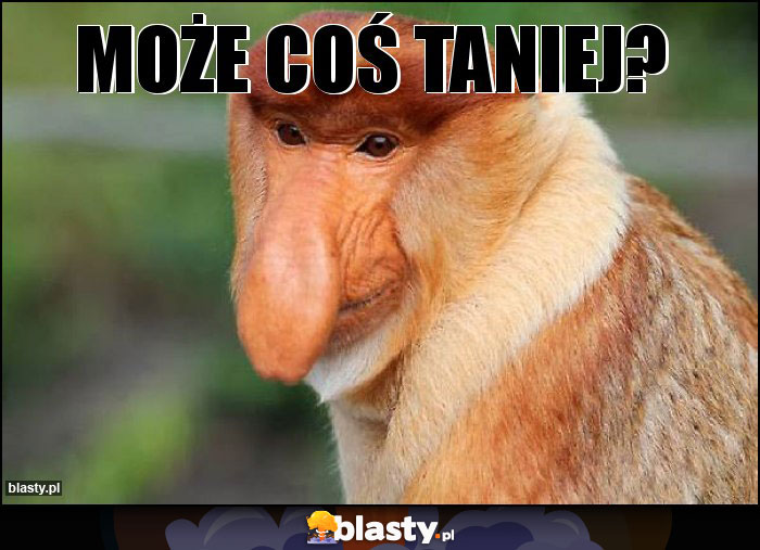 Może coś taniej?