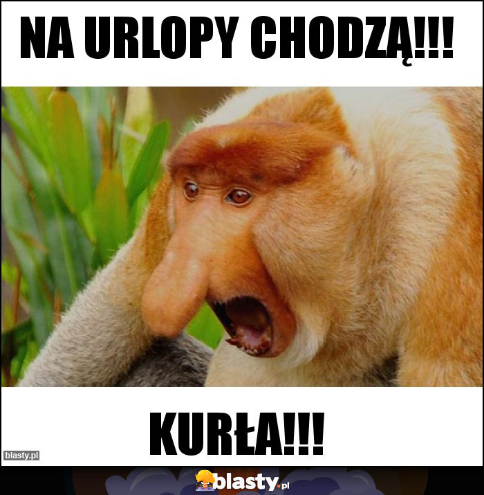 Na urlopy chodzą!!!