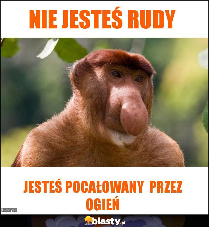 Nie jesteś rudy