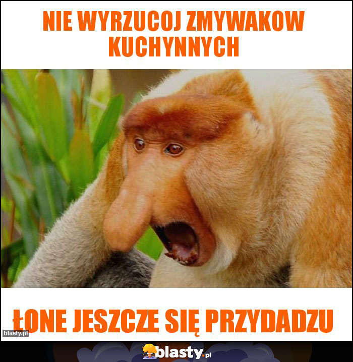 Nie wyrzucoj zmywakow kuchynnych