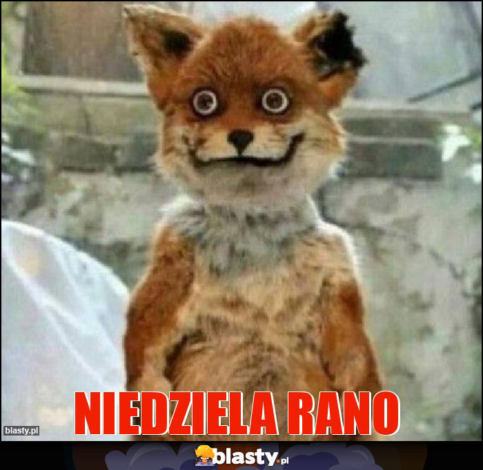 Niedziela Rano