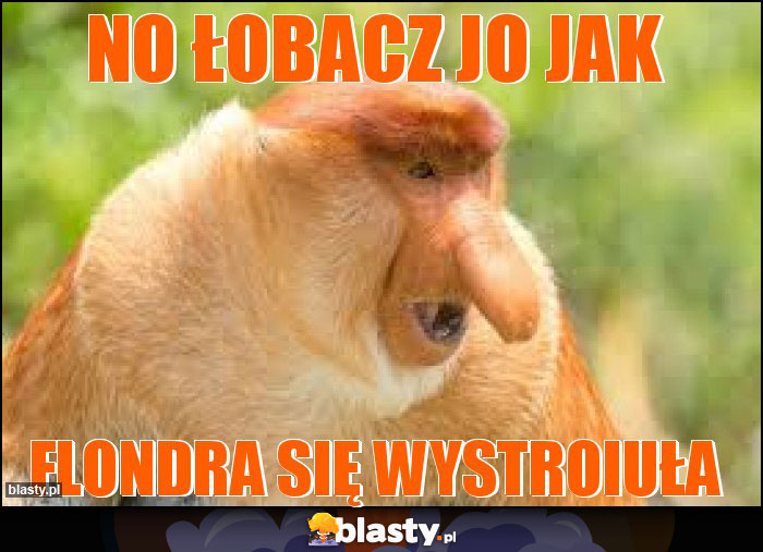 No łobacz jo jak