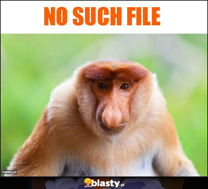 no such file