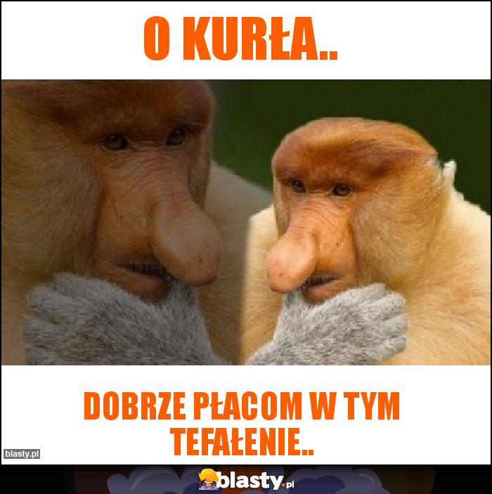 O kurła..