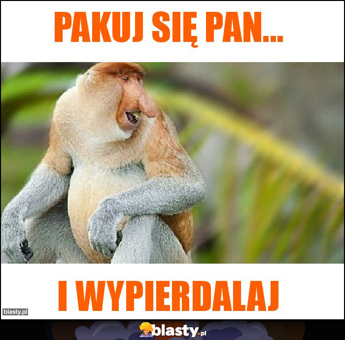 Pakuj się Pan...