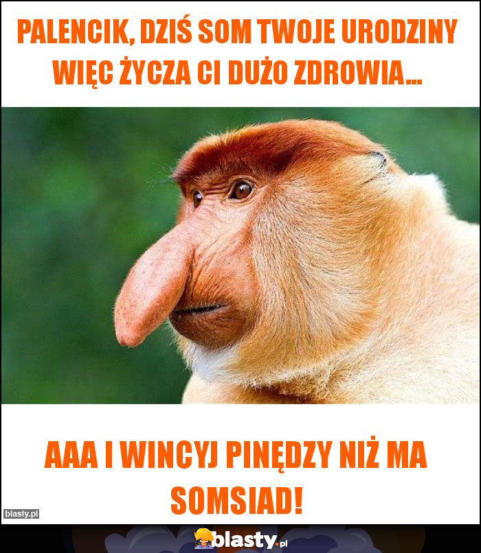 PALENCIK, DZIŚ SOM TWOJE URODZINY WIĘC ŻYCZA CI DUŻO ZDROWIA...