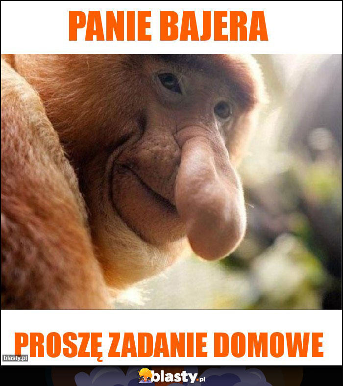 Panie Bajera