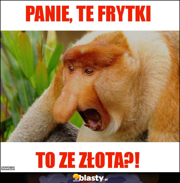 Panie, te frytki