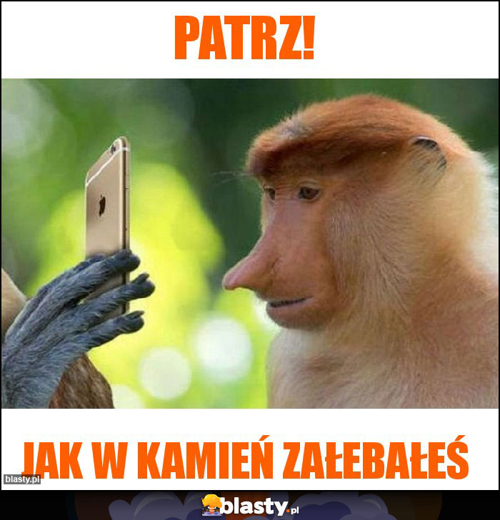 Patrz!