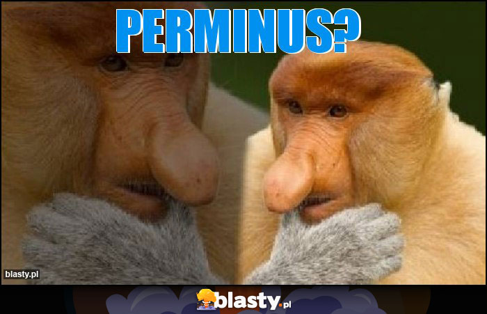 Perminus?