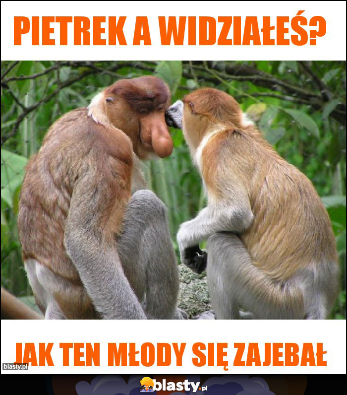 Pietrek a widziałeś?