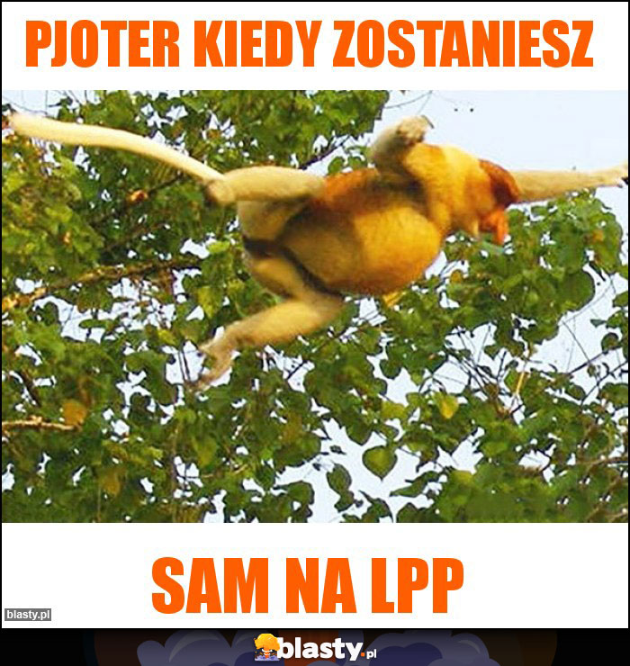 Pjoter kiedy zostaniesz