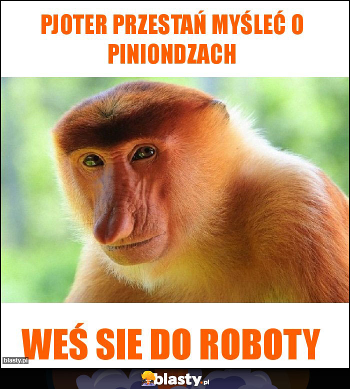 Pjoter przestań myśleć o piniondzach