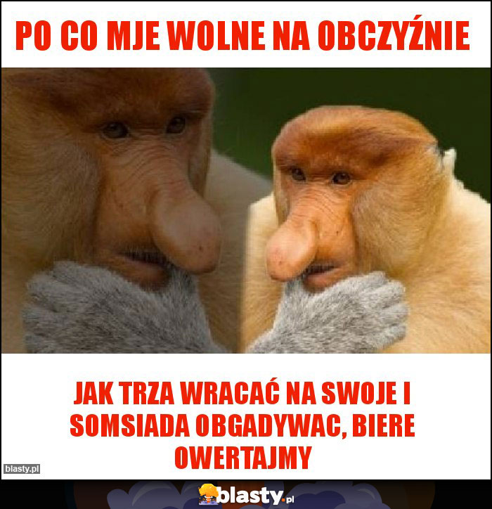 Po co mje wolne na obczyźnie