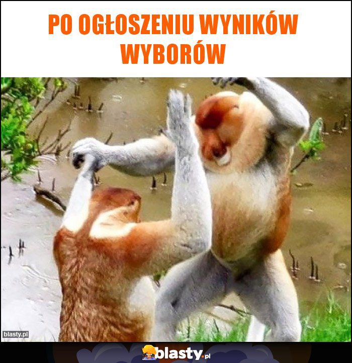 Po ogłoszeniu wyników wyborów