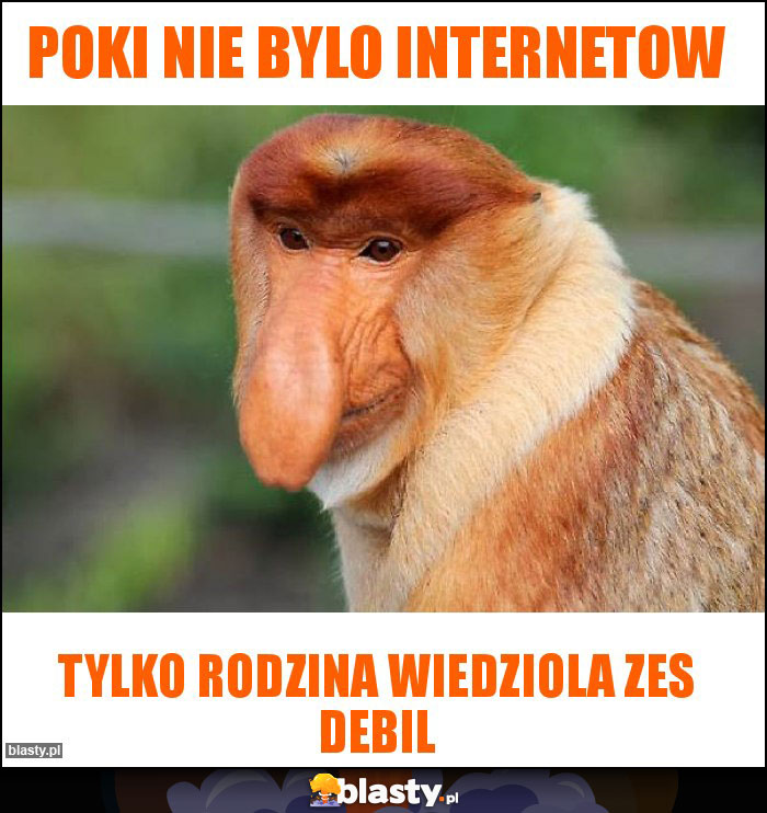 POKI NIE BYLO INTERNETOW