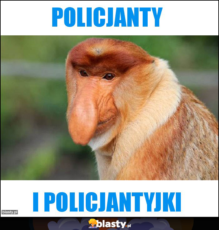 POLICJANTY