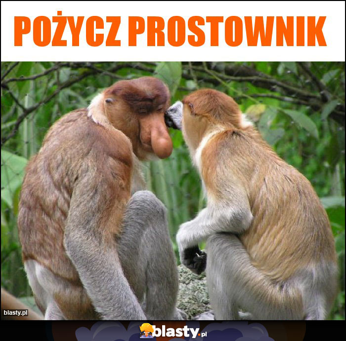 Pożycz prostownik