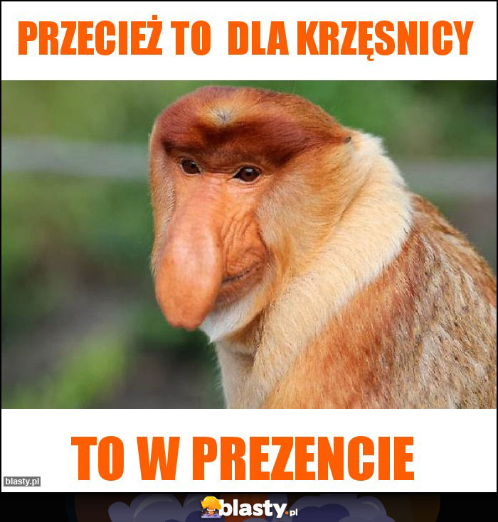 Przecież to  dla krzęsnicy