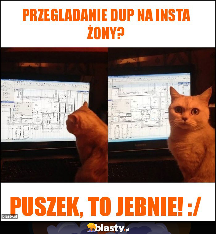 Przegladanie dup na insta żony?