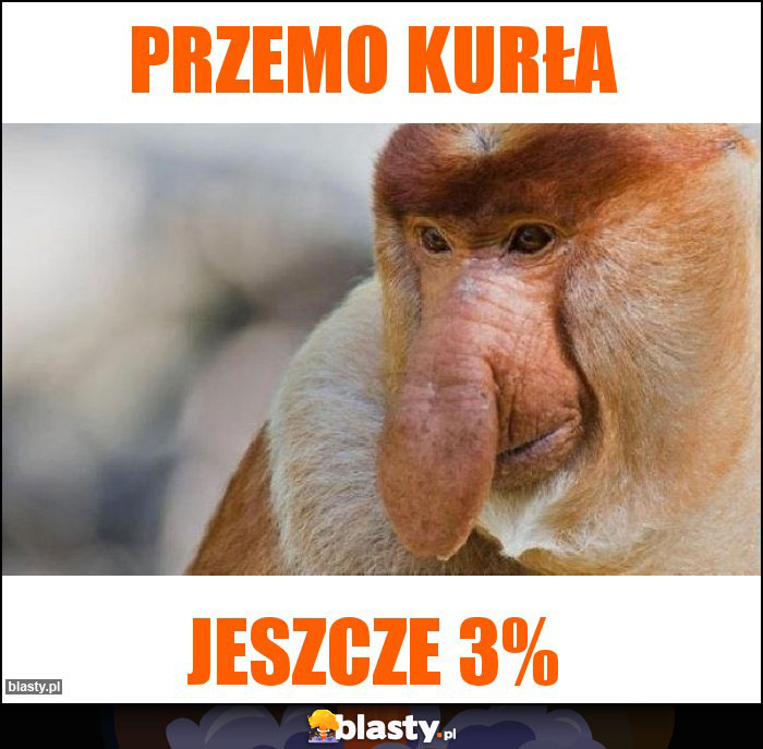 Przemo Kurła