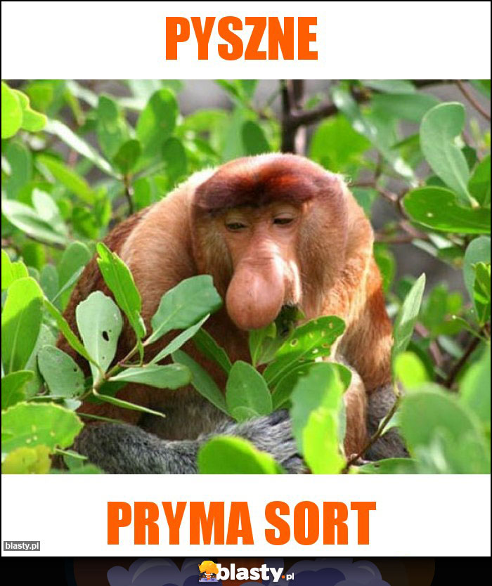 Pyszne