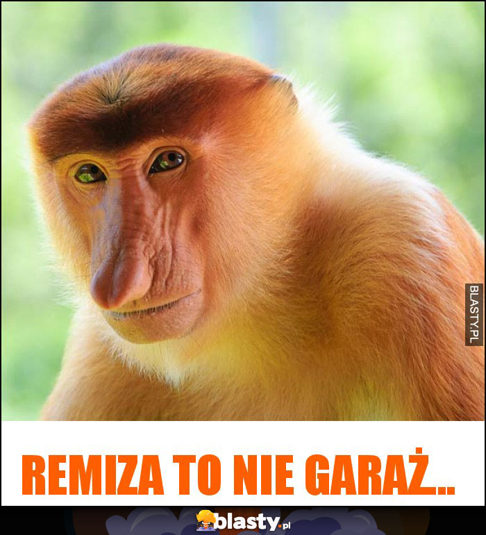 Remiza to nie garaż...