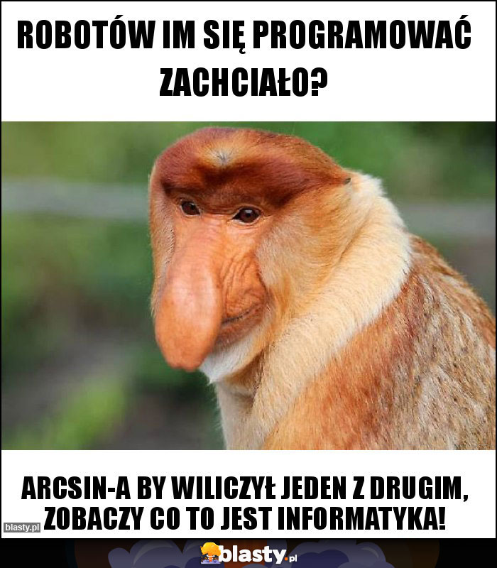 Robotów im się programować zachciało?