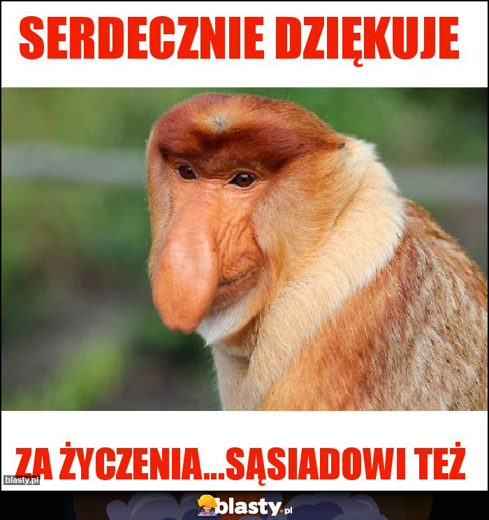 Serdecznie dziękuje