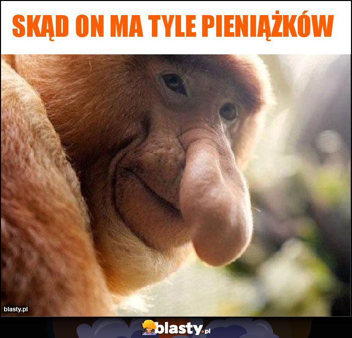 skąd on ma tyle pieniążków