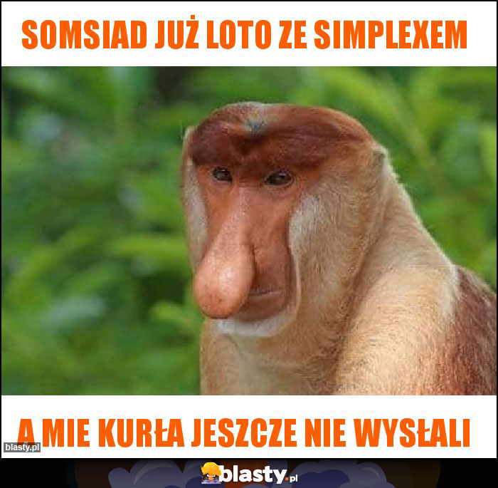 Somsiad już loto ze simplexem