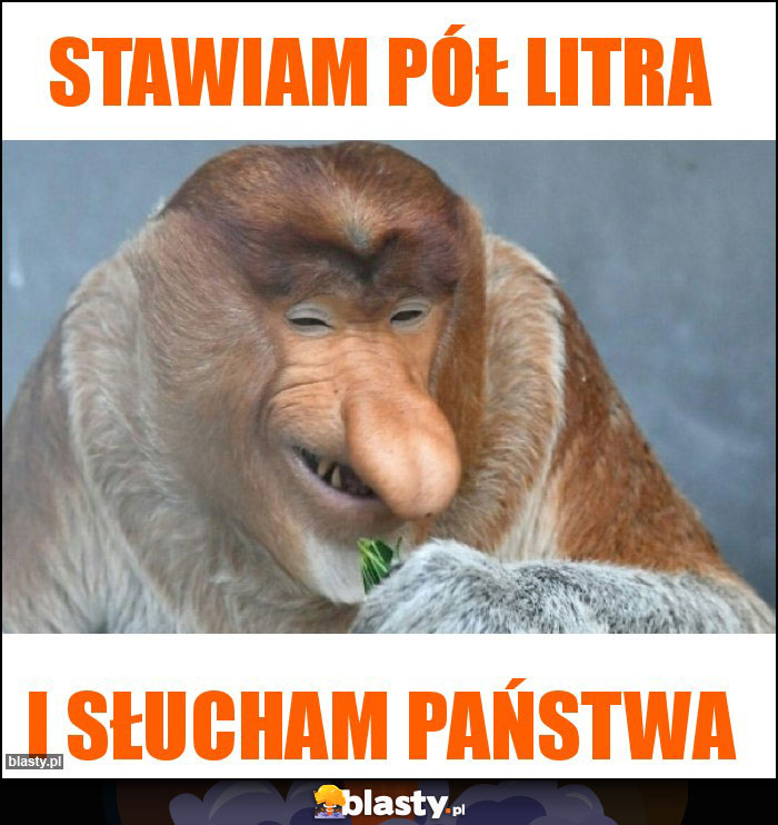 Stawiam pół litra