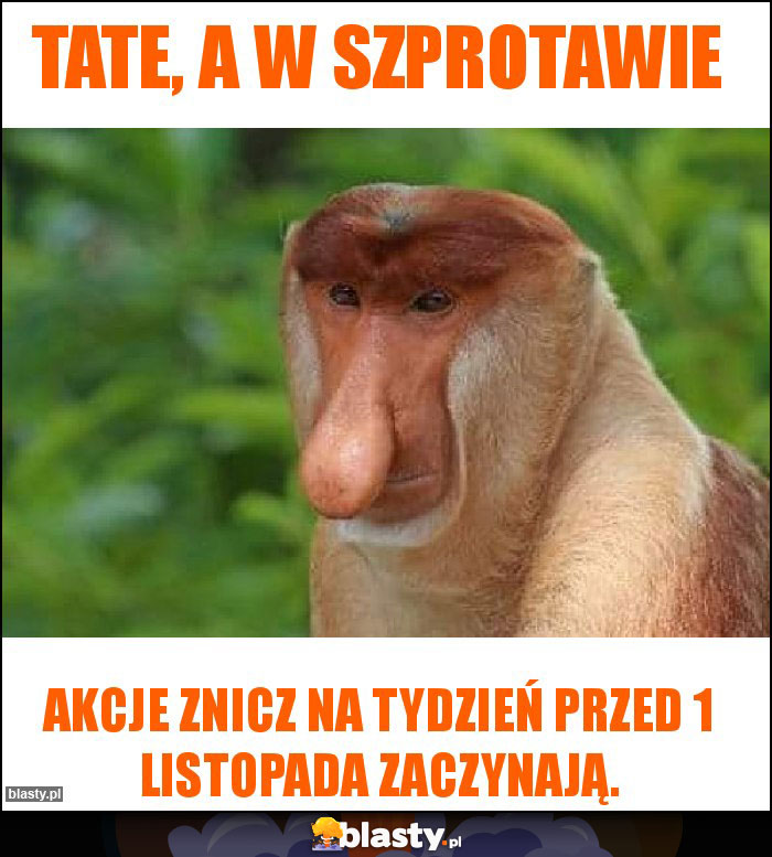 Tate, a w szprotawie