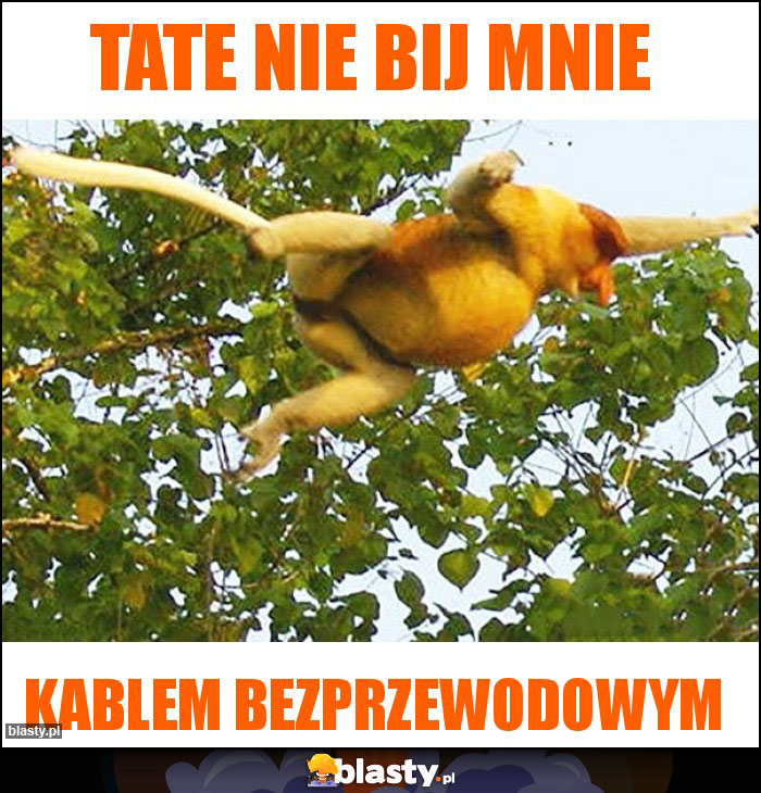 Tate nie bij mnie